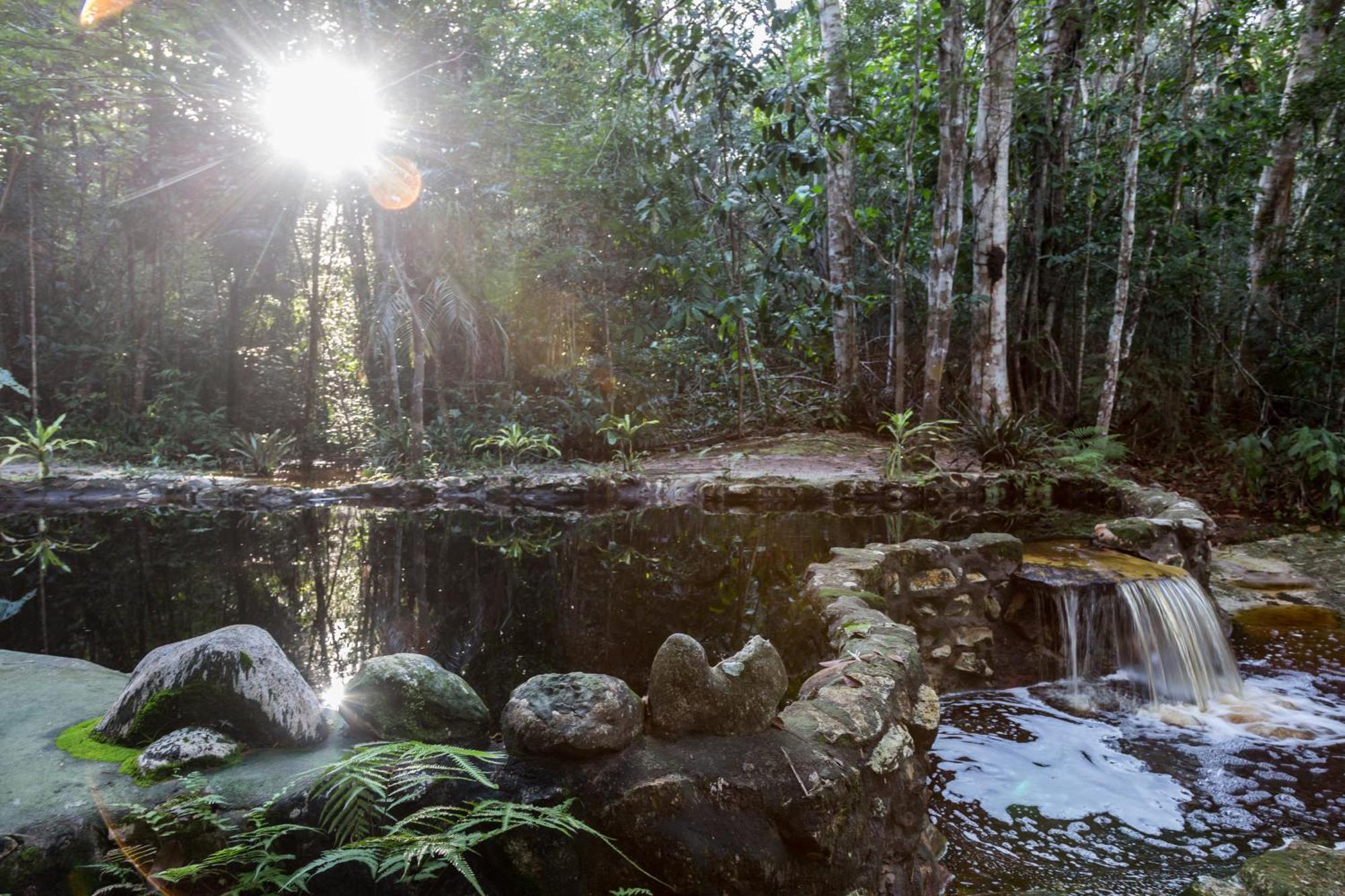 Amazon Ecopark Jungle Lodge Manaus Luaran gambar