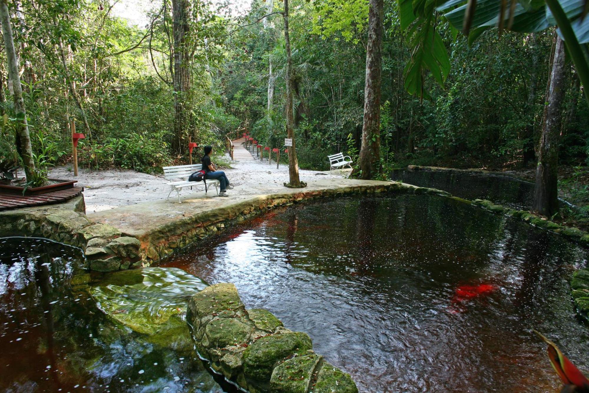 Amazon Ecopark Jungle Lodge Manaus Luaran gambar