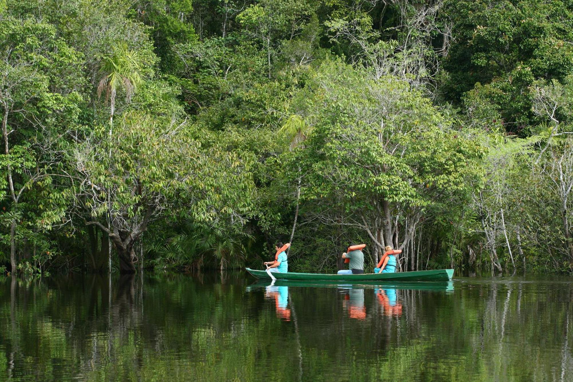 Amazon Ecopark Jungle Lodge Manaus Luaran gambar