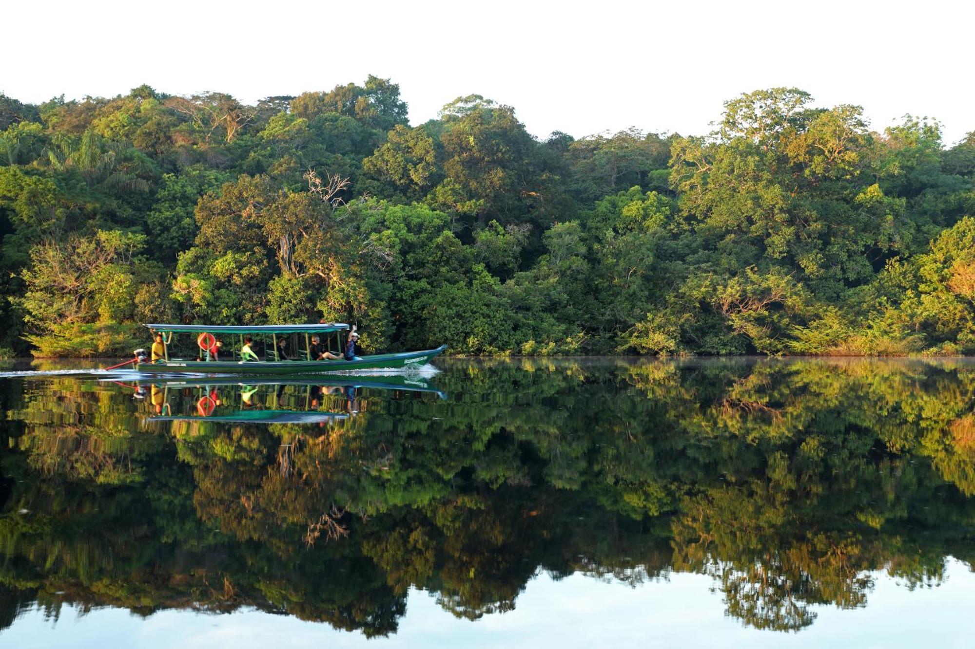 Amazon Ecopark Jungle Lodge Manaus Luaran gambar